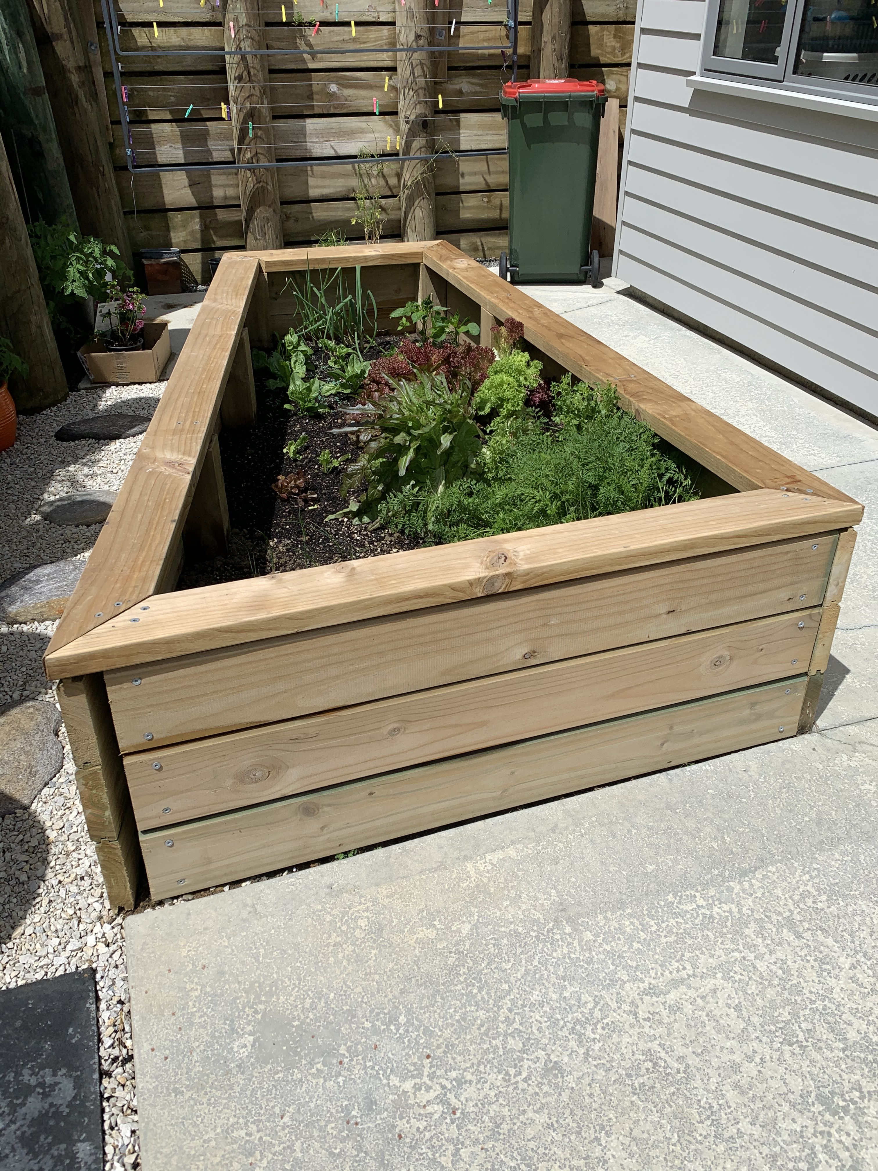 Wellington townhouse raised planter box with veges, pavers, ground cover and clothesline - by Grumpy Bob